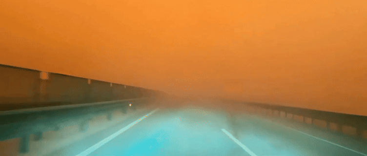 1751007805169588.gif 02.gif